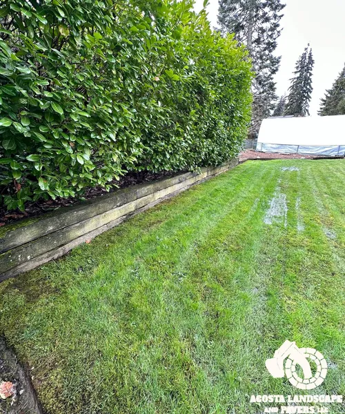 Terrace Fencing & Retaining Wall